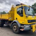 DAF LF55 220